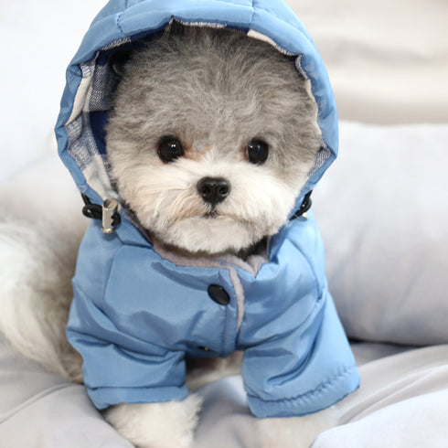 Cotton-Padded Letter Print Coat